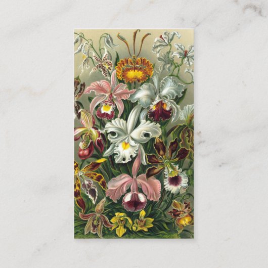 Ernst Haeckel Orchids,  regenwoudbloemen Visitekaartje (Achterkant)