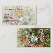 Ernst Haeckel Orchids,  regenwoudbloemen Visitekaartje (Voorkant / Achterkant)