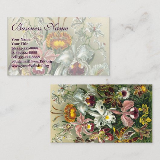 Ernst Haeckel Orchids,  regenwoudbloemen Visitekaartje (Voorkant / Achterkant)