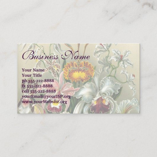 Ernst Haeckel Orchids,  regenwoudbloemen Visitekaartje (Voorkant)