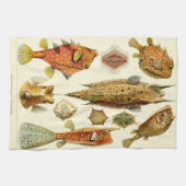 Ernst Haeckel Ostraciontes boxfish cowfish Theedoek (Horizontaal)