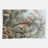 Ernst Haeckel Palm Trees Poster Hoesje-Mate  Theedoek (Horizontaal)