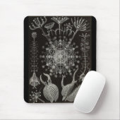 Ernst Haeckel - Phaeodaria2 Muismat (Met muis)