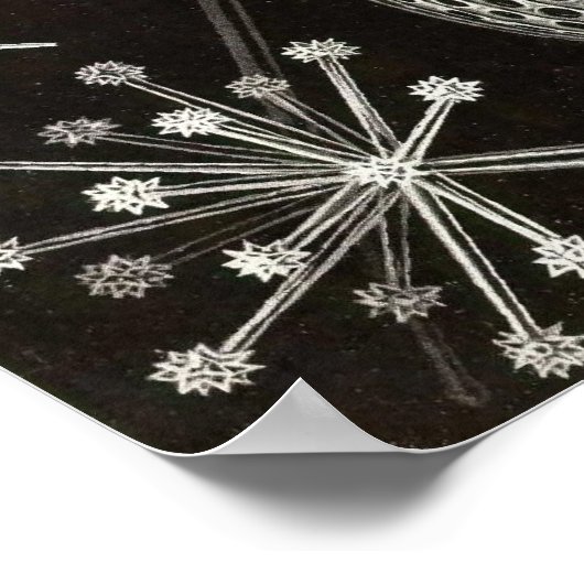 Ernst Haeckel - Phaeodaria2 Poster (Hoek)