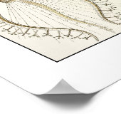 Ernst Haeckel Phaeodaria Poster (Hoek)