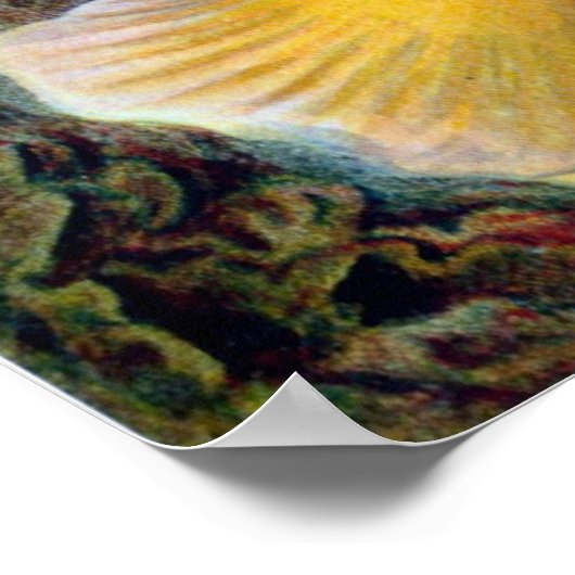 Ernst Haeckel Poster ~ Actiniae (Hoek)