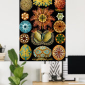 Ernst Haeckel Poster ~ Actiniae (Thuiskantoor)