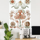Ernst Haeckel Poster ~ Anthomedusae (Thuiskantoor)