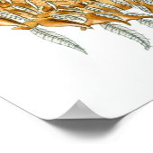 Ernst Haeckel Poster ~ Arachnida (Hoek)