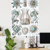 Ernst Haeckel Poster ~ Narcomedusae (Thuiskantoor)