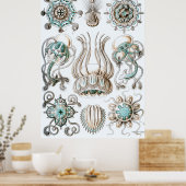 Ernst Haeckel Poster ~ Narcomedusae (Keuken)