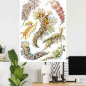 Ernst Haeckel Poster ~ Nudibranchia (Thuiskantoor)