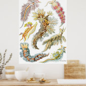 Ernst Haeckel Poster ~ Nudibranchia (Keuken)