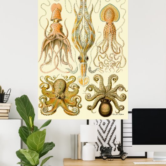 Ernst Haeckel Poster ~ Tafel (Thuiskantoor)
