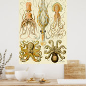 Ernst Haeckel Poster ~ Tafel (Keuken)