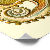 Ernst Haeckel Poster ~ Tafel (Hoek)