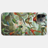 Ernst Haeckel Prachtige levendige Kolibries Case-Mate iPhone Case (Achterkant (horizontaal))