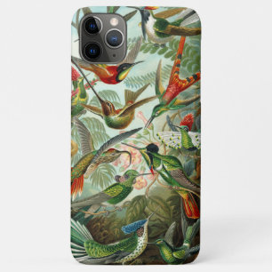 Ernst Haeckel Prachtige levendige Kolibries Case-Mate iPhone Case