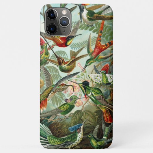 Ernst Haeckel Prachtige levendige Kolibries Case-Mate iPhone Case (Achterkant)