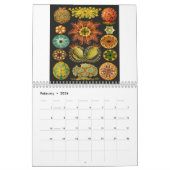 Ernst Haeckel Prints Kalender (Feb 2026)