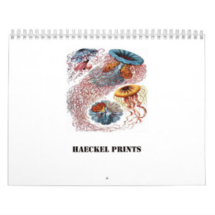 Ernst Haeckel Prints Kalender