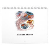 Ernst Haeckel Prints Kalender (Hoes)