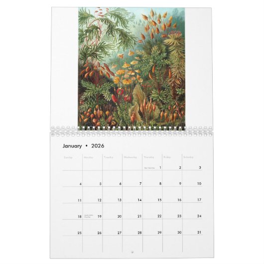 Ernst Haeckel Prints Kalender (Jan 2026)