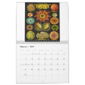 Ernst Haeckel Prints Kalender (Feb 2027)