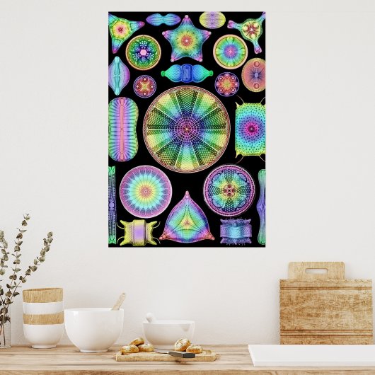 Ernst Haeckel Rainbow Diatoms Poster (Keuken)