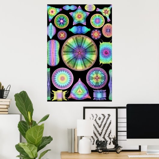 Ernst Haeckel Rainbow Diatoms Poster (Thuiskantoor)