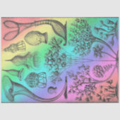 Ernst Haeckel Rainbow met gekleurd Poster Afdrukk Tissuepapier (Voorkant)