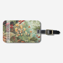 Ernst Haeckel Retro Mushroom