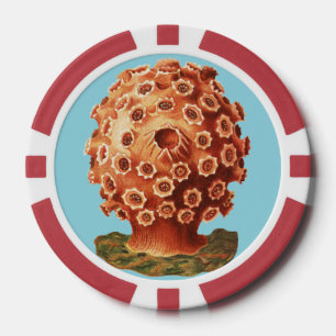 Ernst Haeckel Rode Koraal Zeevaart Zeeleven Poker Chips