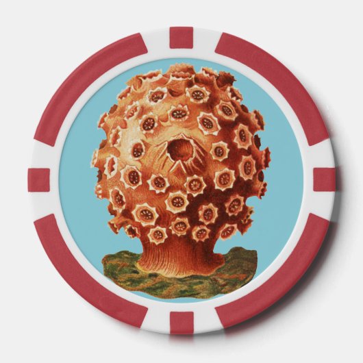 Ernst Haeckel Rode Koraal Zeevaart Zeeleven Poker Chips (Voorkant)