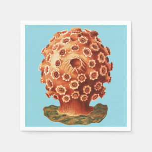 Ernst Haeckel Rode Koraal Zeevaart Zeeleven Servet