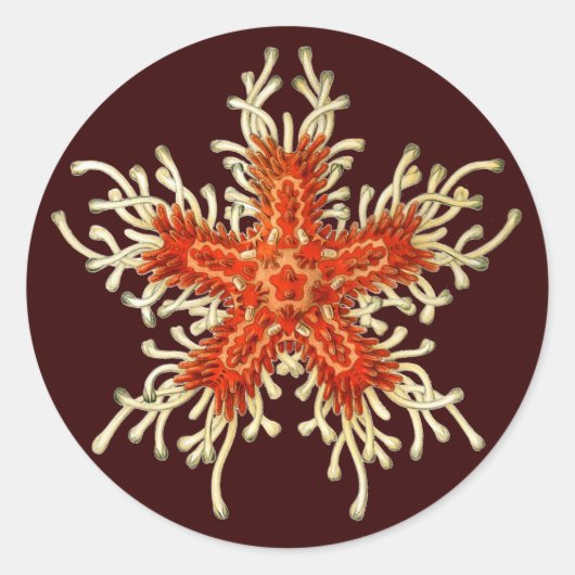 Ernst Haeckel Ronde Sticker (Voorkant)