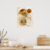 Ernst Haeckel SeaLife Ocean Jellyfish Art Print (Keuken)