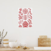 Ernst Haeckel Seaweed Poster (Keuken)