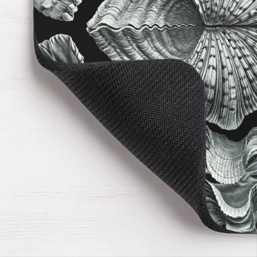 Ernst Haeckel  Shells Mousepad Muismat (Hoek)