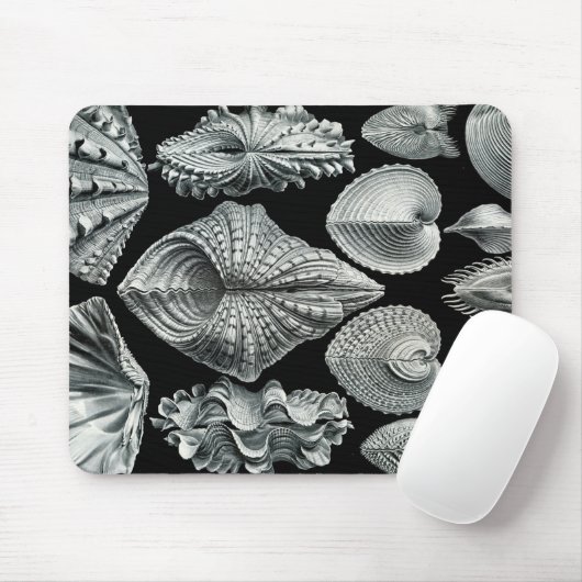 Ernst Haeckel Shells Mousepad Muismat (Met muis)