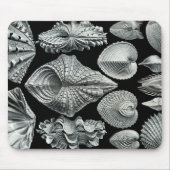 Ernst Haeckel Shells Mousepad Muismat (Voorkant)