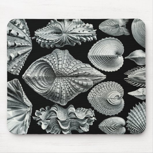 Ernst Haeckel  Shells Mousepad Muismat (Voorkant)