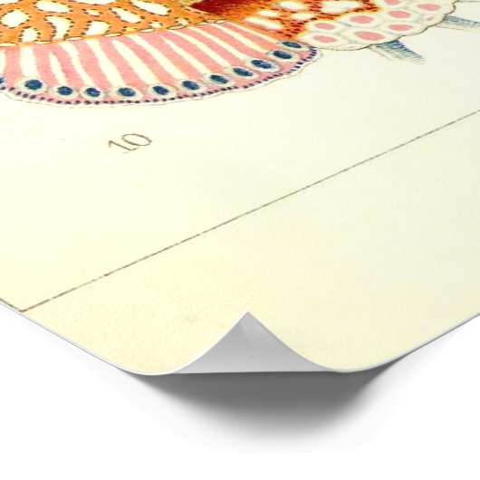 Ernst Haeckel - Siphonophorae2 Poster (Hoek)