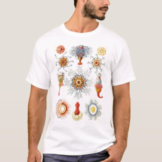 Ernst Haeckel - Siphonophorae2 T-shirt