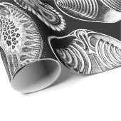 Ernst Haeckel Spirobranchia Cadeaupapier (Rol Hoek)