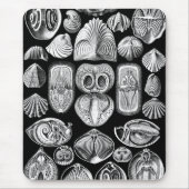 Ernst Haeckel Spirobranchia Muismat (Voorkant)