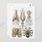  Ernst Haeckel Squids en Octopus Poster Briefkaart (Voorkant / Achterkant)