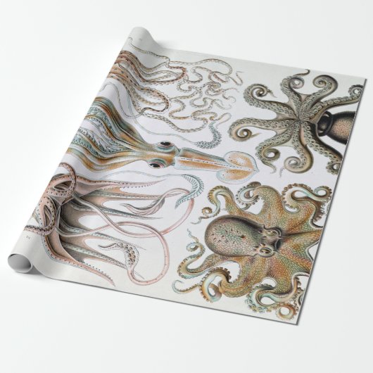 Ernst Haeckel Squids en Octopus Poster Cadeaupapier (Uitgerold)