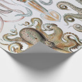 Ernst Haeckel Squids en Octopus Poster Cadeaupapier (Hoek)