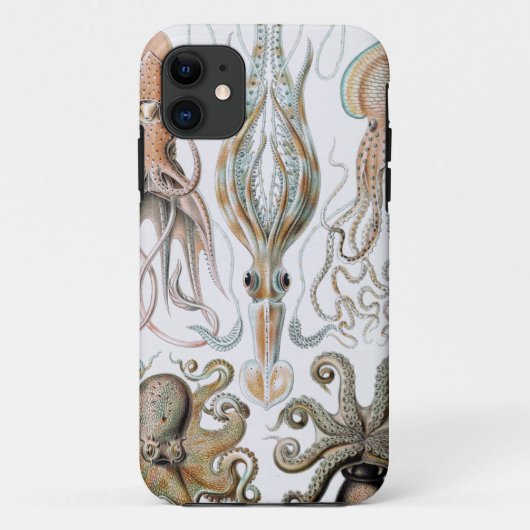  Ernst Haeckel Squids en Octopus Poster Case-Mate iPhone Case (Achterkant)